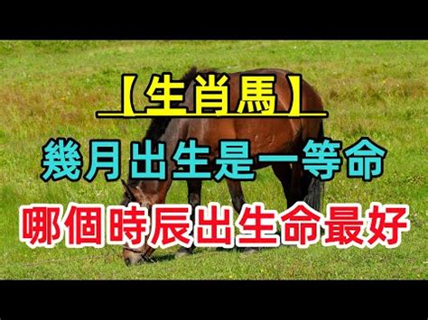 馬的年份|屬馬今年幾歲 馬年是民國西元哪幾年